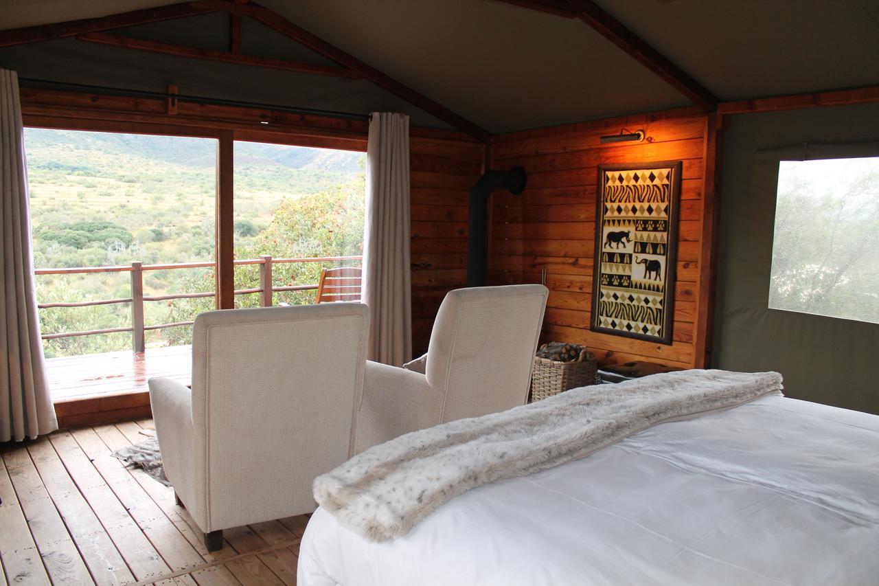 Addo Elephant Lodge & Safaris Kirkwood Eksteriør billede