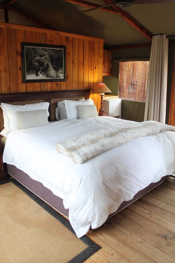 Addo Elephant Lodge & Safaris Kirkwood Værelse billede