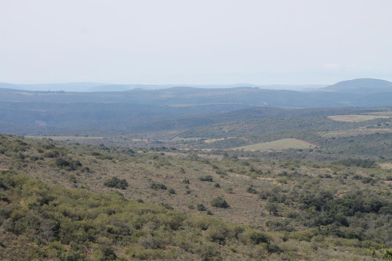 Addo Elephant Lodge & Safaris Kirkwood Eksteriør billede