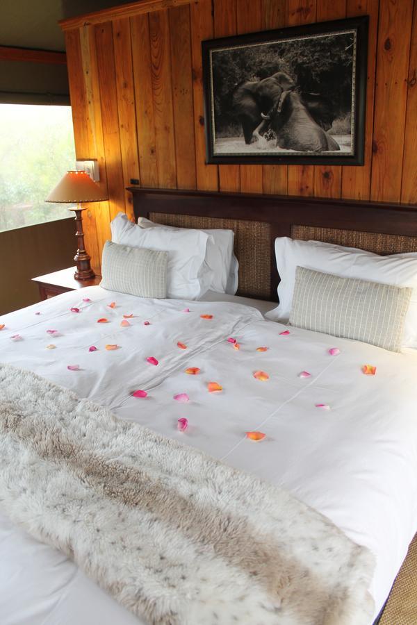 Addo Elephant Lodge & Safaris Kirkwood Eksteriør billede