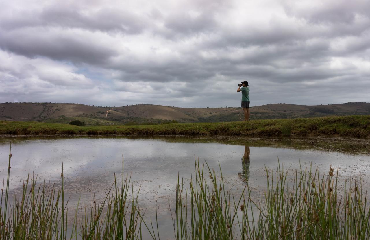 Addo Elephant Lodge & Safaris Kirkwood Eksteriør billede