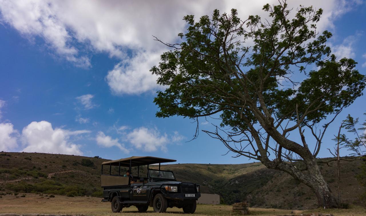 Addo Elephant Lodge & Safaris Kirkwood Eksteriør billede