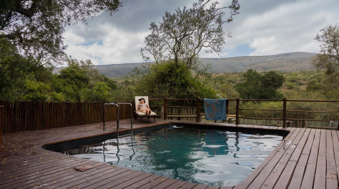 Addo Elephant Lodge & Safaris Kirkwood Eksteriør billede